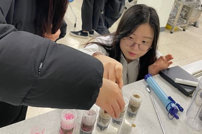 Environmental issues recently emerging