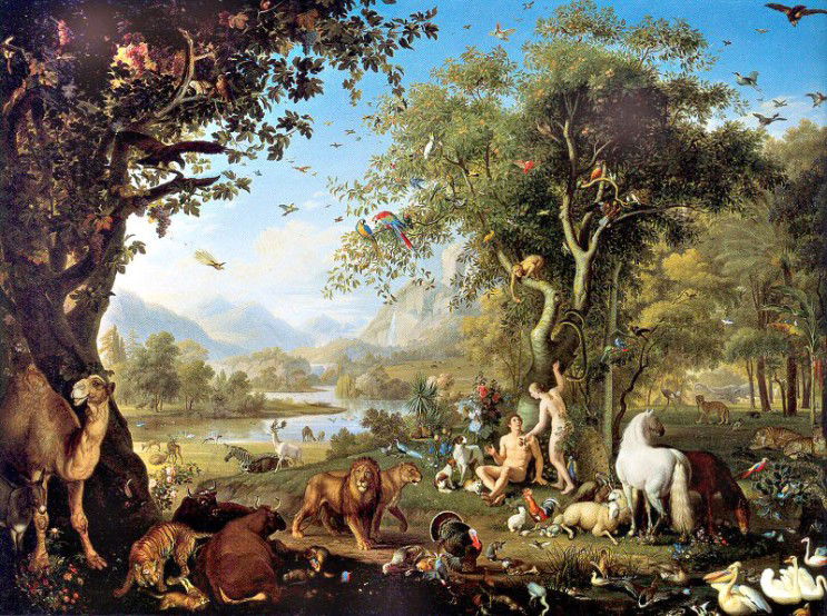 About 그리스도인의 스포츠