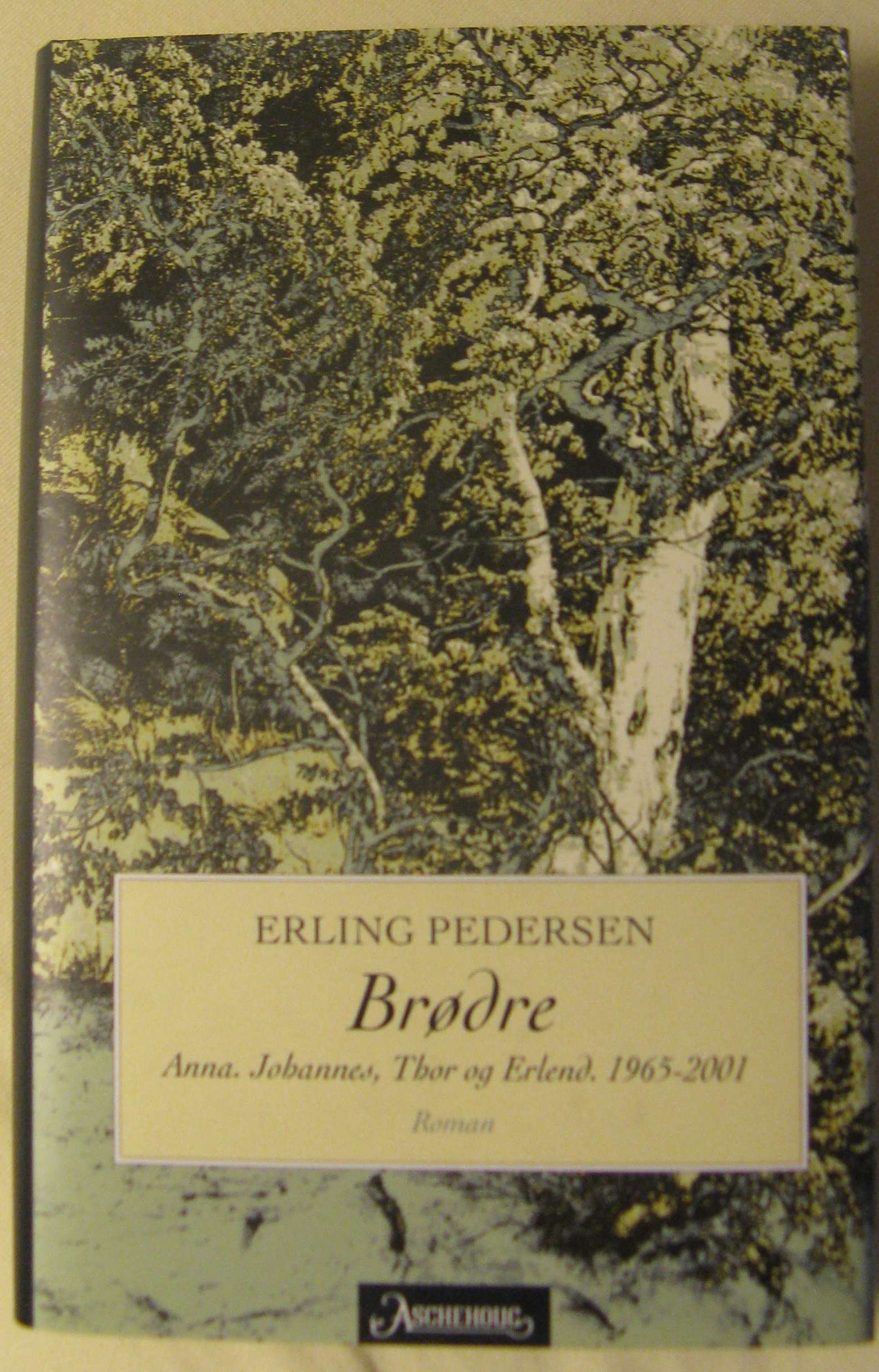 Brødre 2001