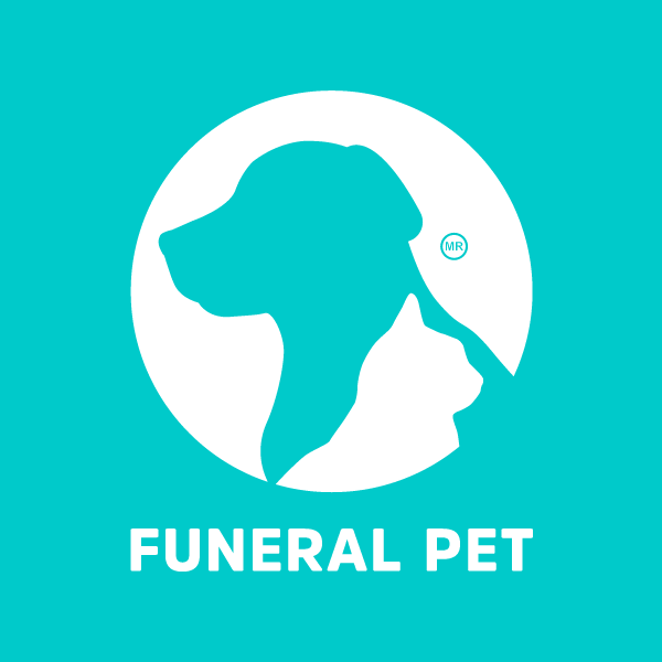 LO QUE OIGO ES SU AMOR