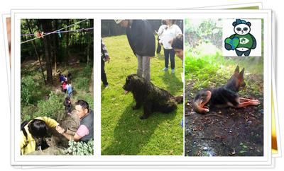 ODS 13 ACCIÓN POR EL CLIMA