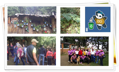 ODS 12 CONSUMO RESPONSABLE