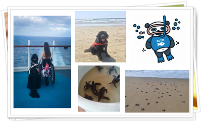 ODS 14 VIDA SUBMARINA