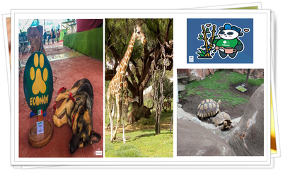 ODS 15 ECOSISTEMAS TERRESTRES