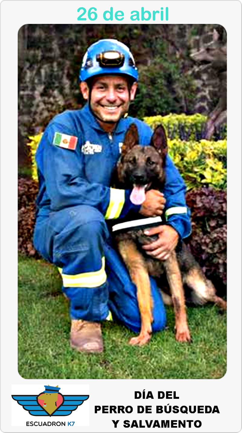 Actividades cívicas y de protección civil