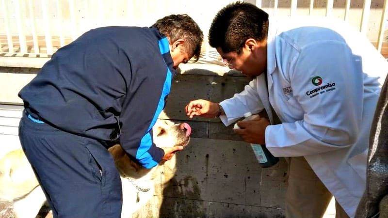 Promoción y atención de servicios para la atención de salud