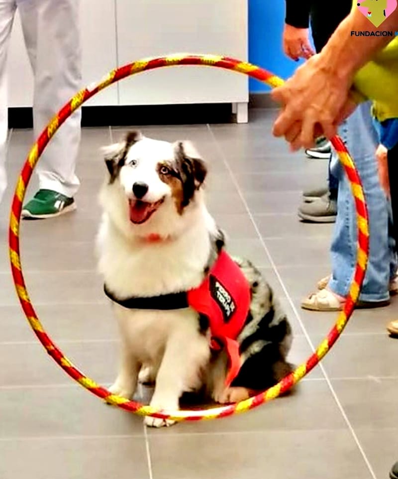 Aportación de servicios a personas con CONDICIÓN MÉDICA o DISCAPACIDAD INVISIBLE