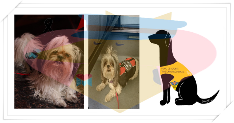 ESPECIALIDAD: SOPORTE PSIQUIATRICO