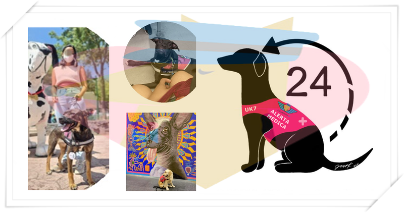 ESPECIALIDAD: ALERTA MÉDICA