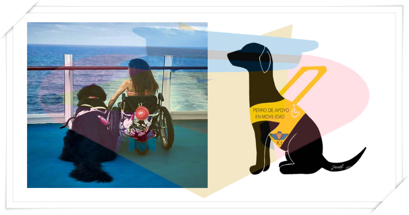 ESPECIALIDAD: APOYO A MOVILIDAD REDUCIDA