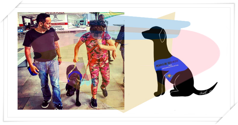 ESPECIALIDAD: APOYO A PERSONAS CON DEFICIENCIA INTELECTUAL