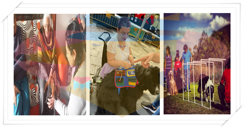 TERAPIA ASISTIDA CON ANIMALES