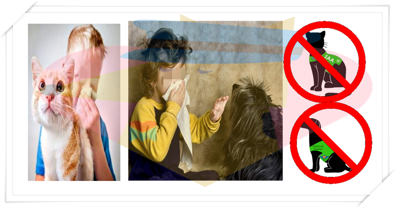 CRITERIOS DE EXCLUSIÓN: 