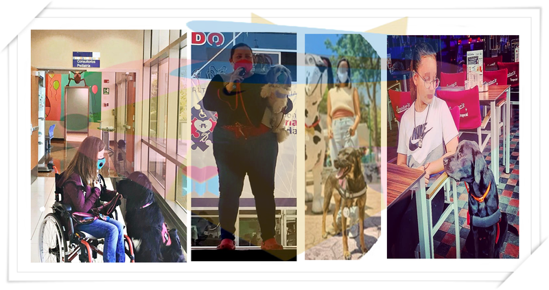 REQUISITOS PARA SOLICITAR UN EJEMPLAR DE  ASISTENCIA ESPECIALIZADA.