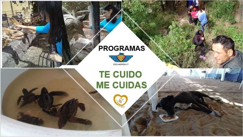 PROGRAMA TE CUIDO ME CUIDAS