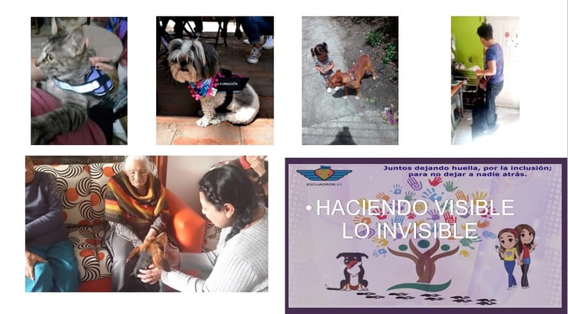 PROGRAMA HACIENDO VISIBLE LO INVISIBLE