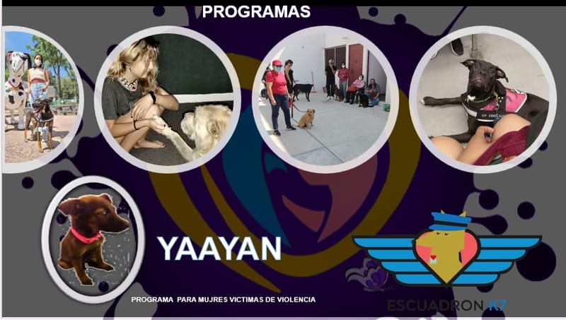 PROGRAMA YAAYAN