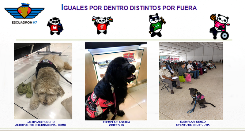 IGUALES POR DENTRO DISTINTOS POR FUERA