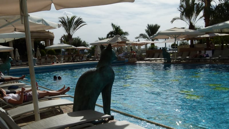 אילת - מלון מלכת שבא