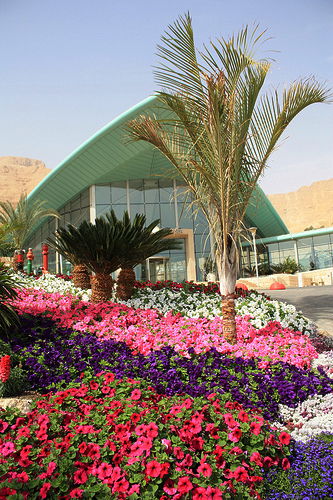 ים המלח - לובי וספא מלון אואזיס