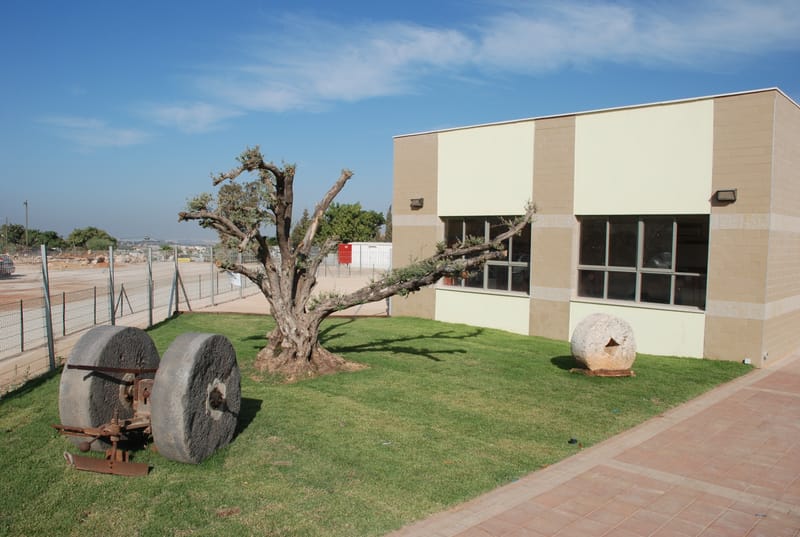 שערי תקווה - בית ספר יסודי ע"ש אילן רמון​