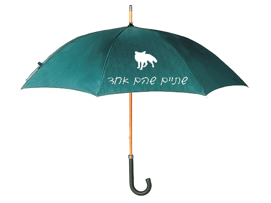 הדפסה על חולצות, קפוצ'ונים, צעיפים, כובעים, שמיכות, מגבות, מטריות...