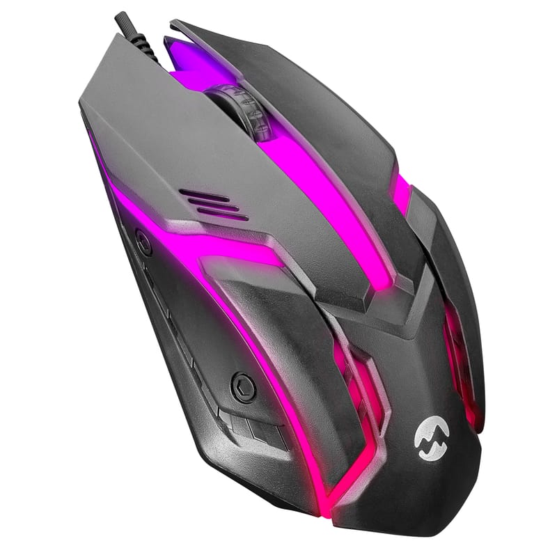 Computer Mouse