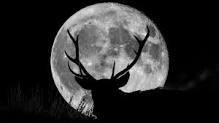 Buck Full Moon Women's Circle in July 2023
