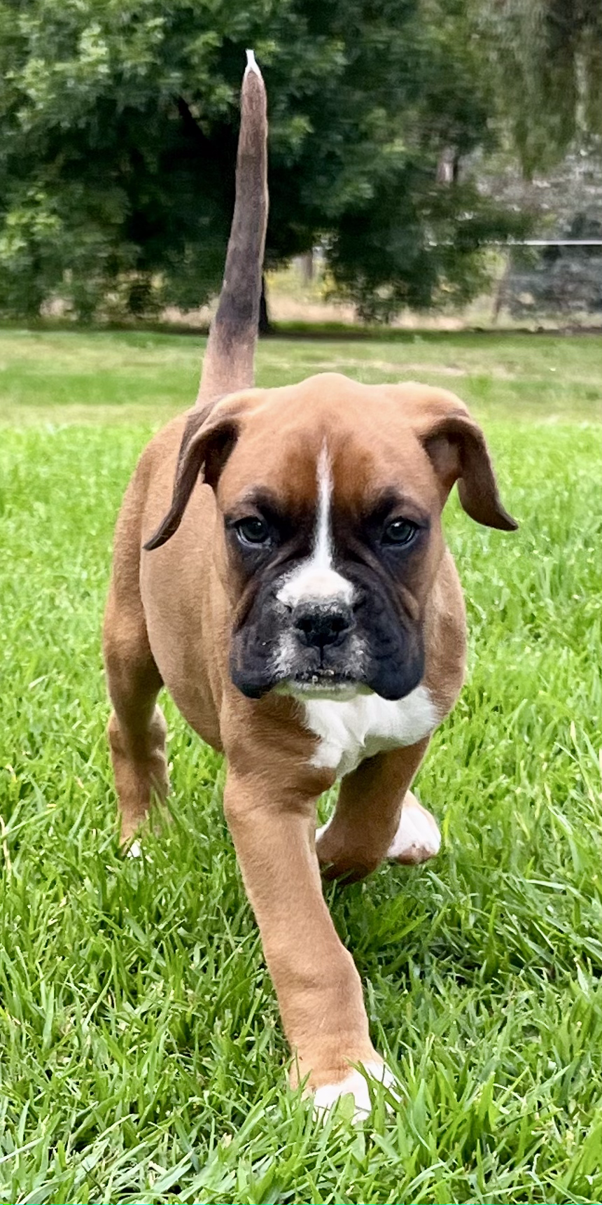 Now living in Hobart, Tasmania!