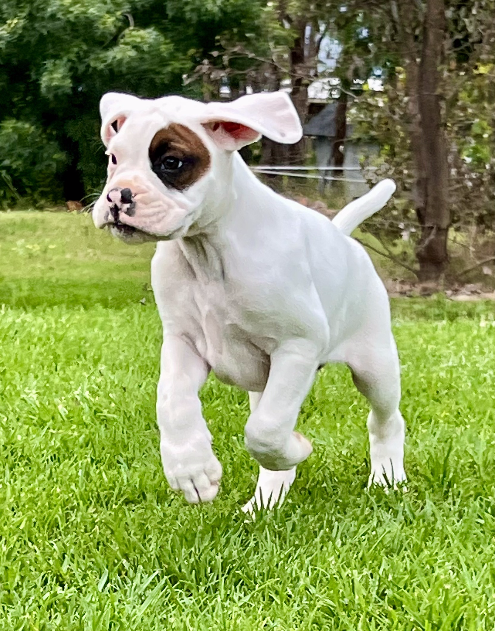 Now living in Melbourne, Victoria!