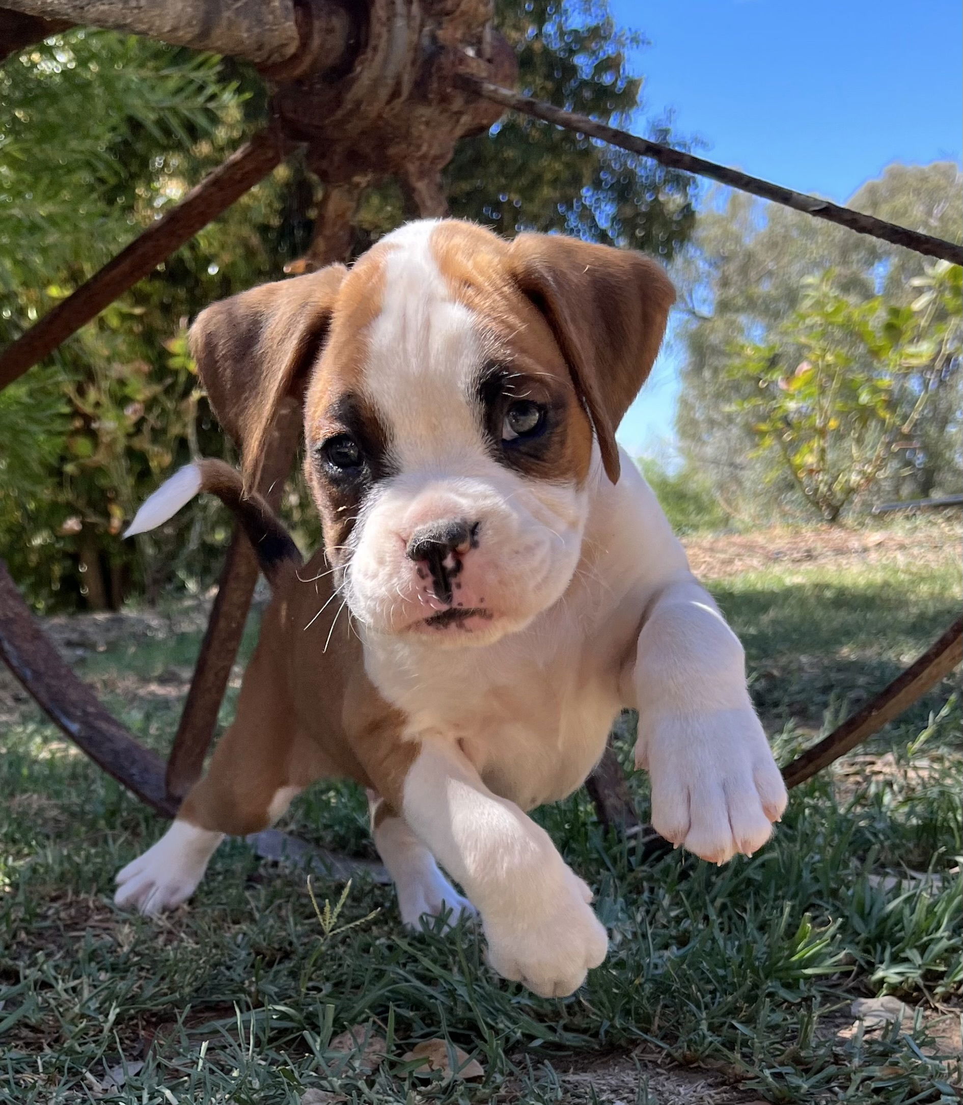 Now living in Colac, Victoria!