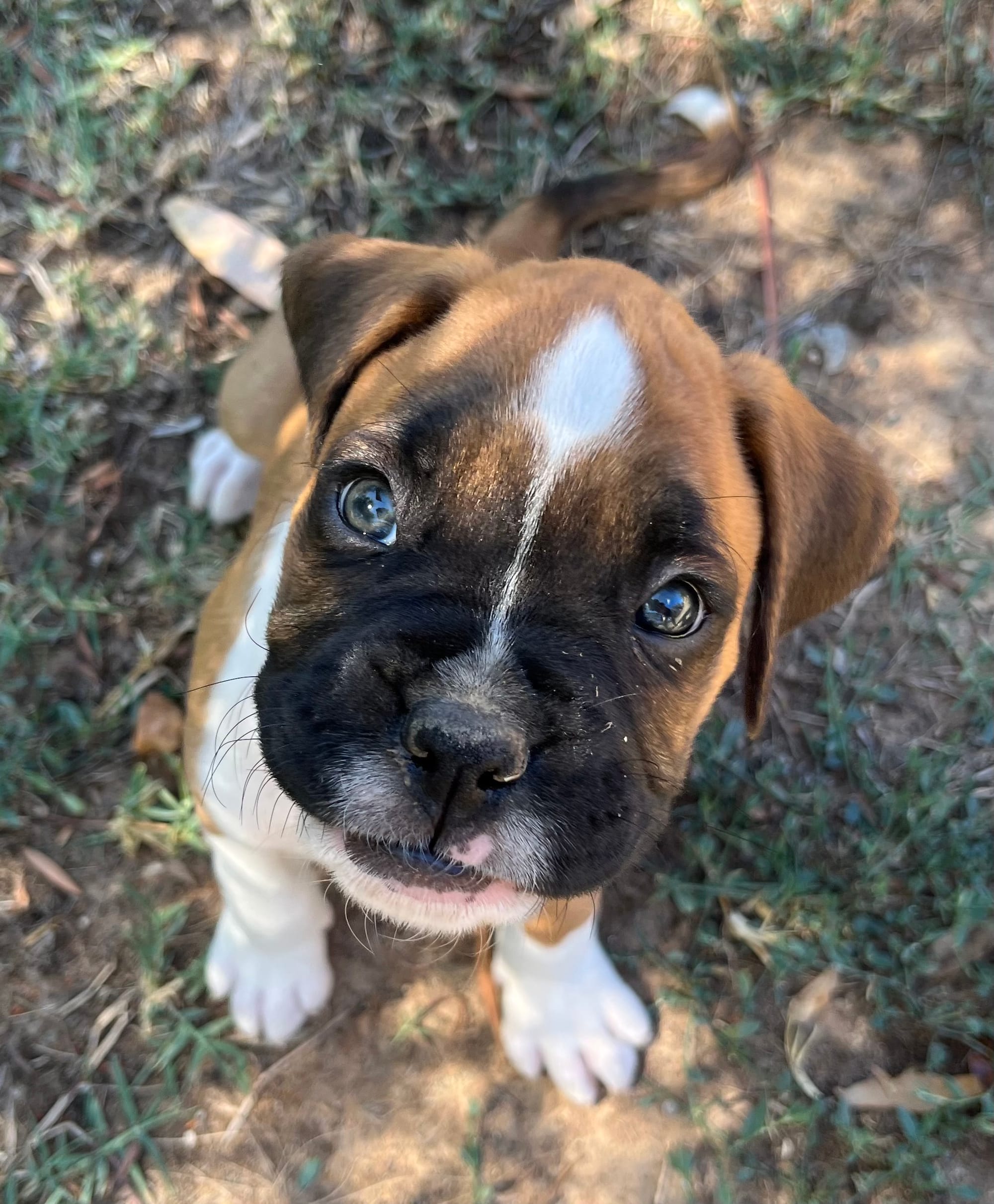 Still living in Emu Creek, Victoria!