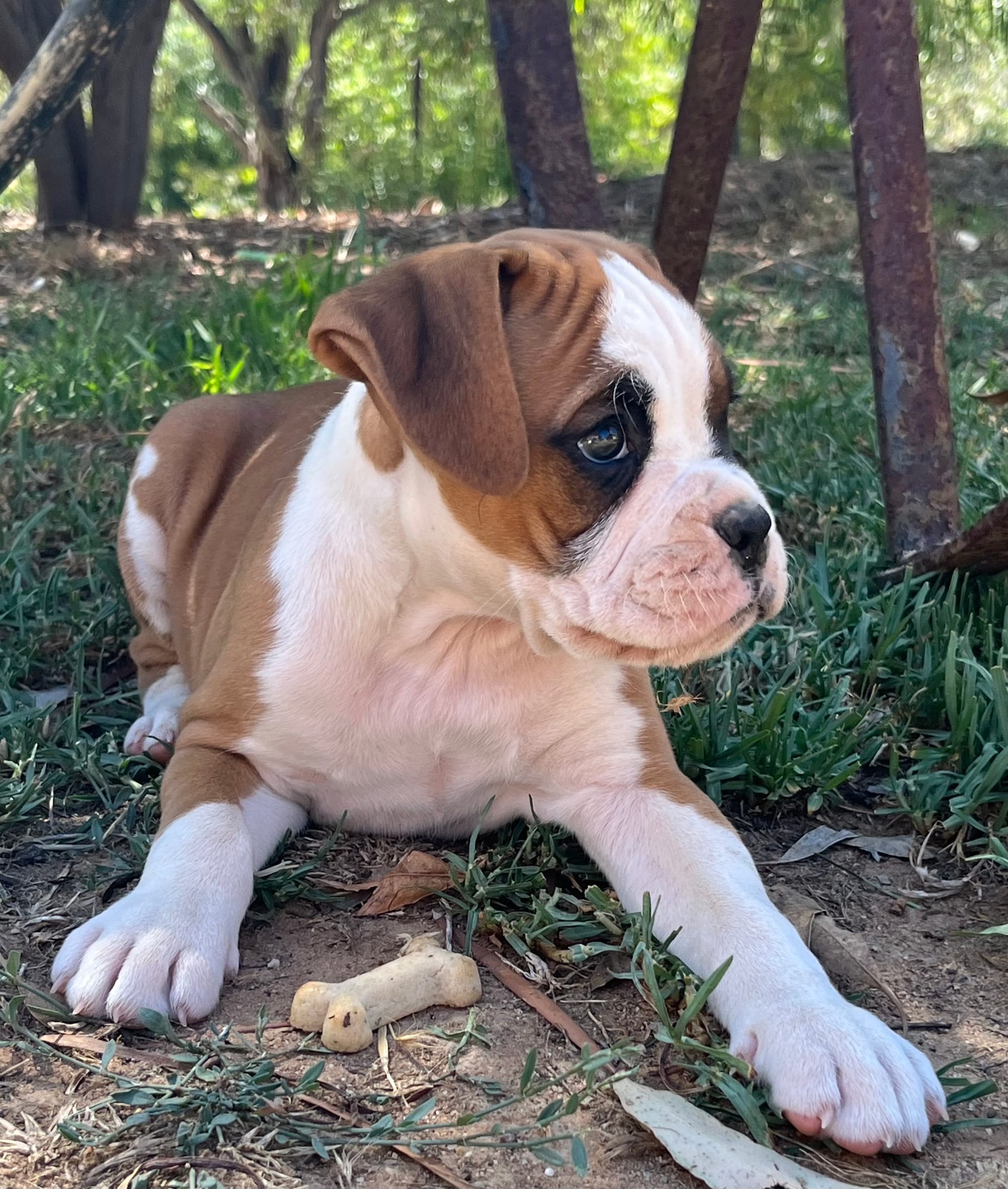 Now living in Colac, Victoria!