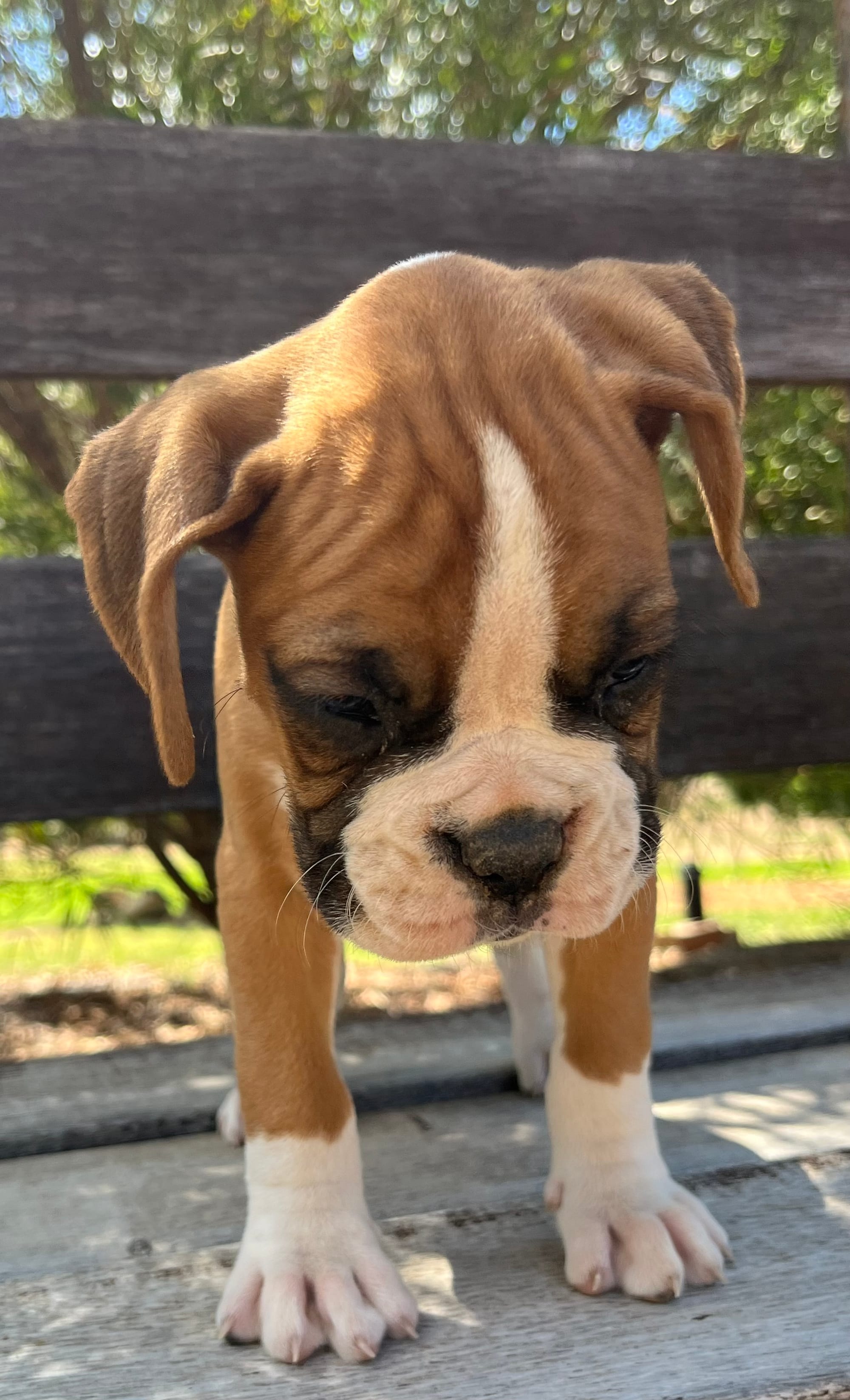 Now living in Bendigo, Victoria!