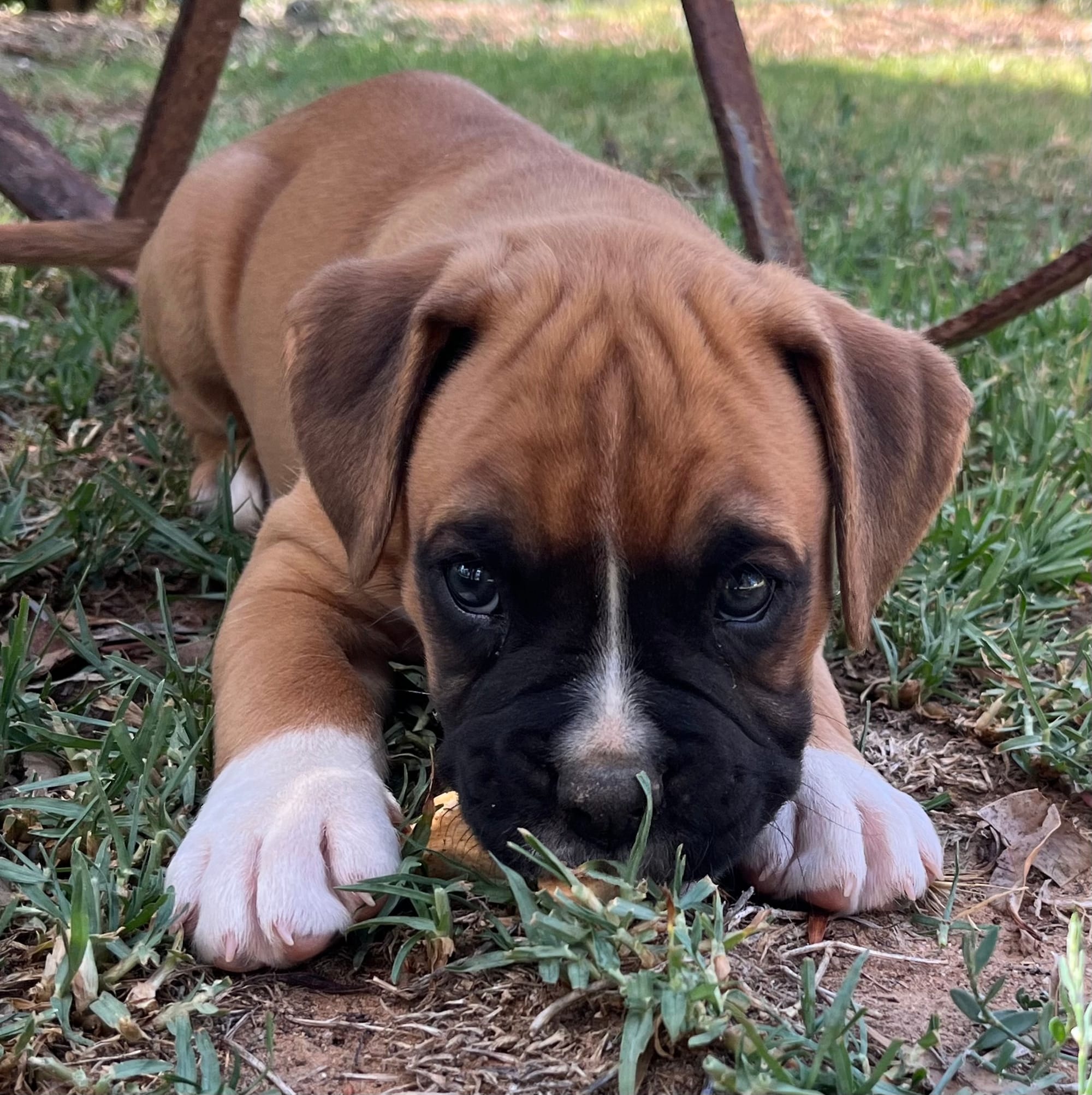 Now living in Melbourne, Victoria!