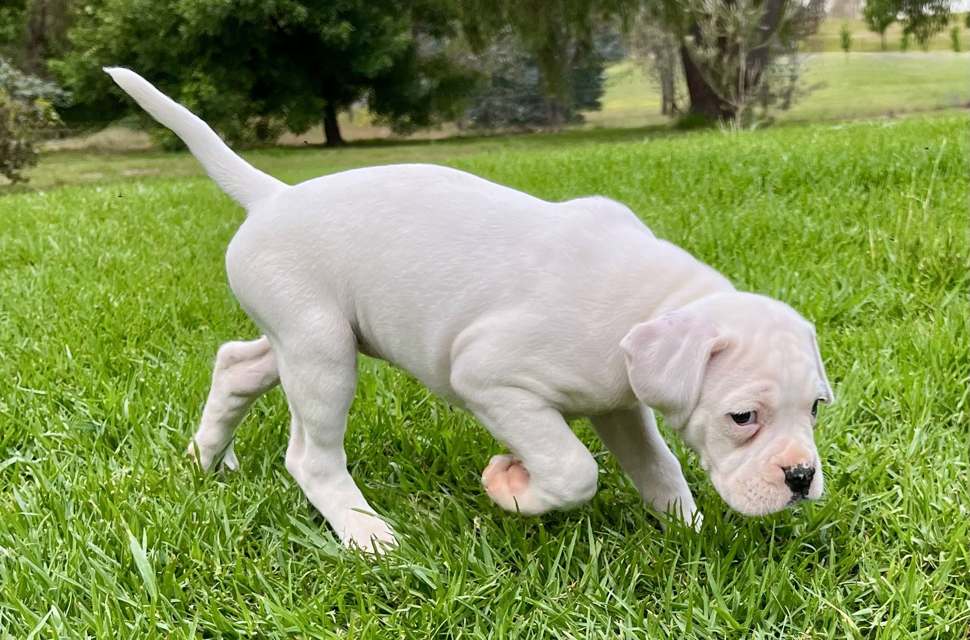 Now living in Maffra, Victoria!