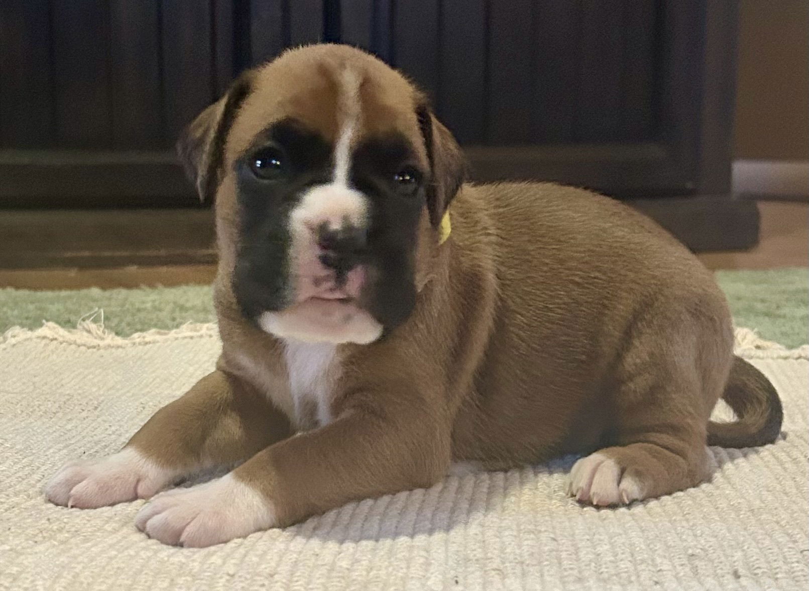 Now living in Melbourne, Victoria!