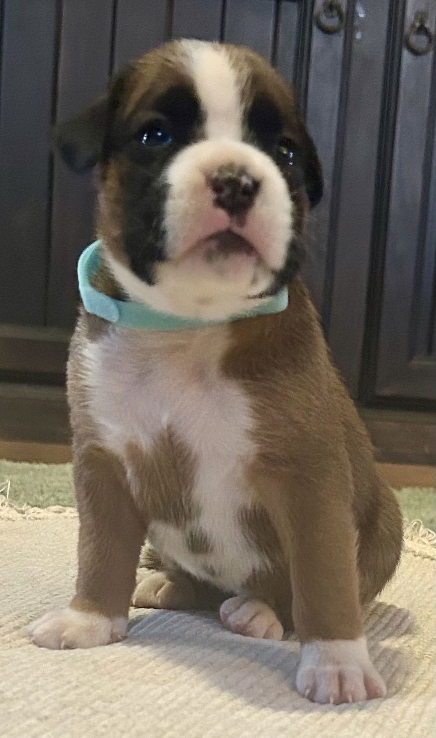 Now living in Warnambool, Victoria!