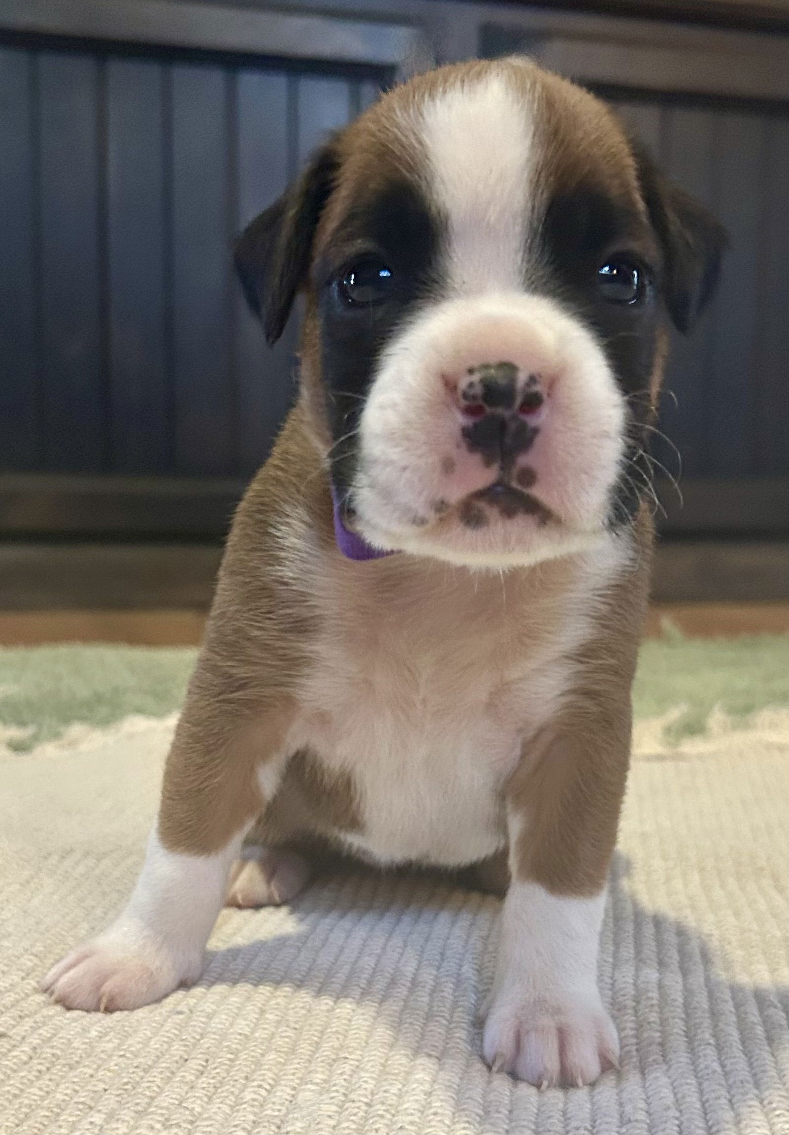 Now living in Perth, Western Australia!