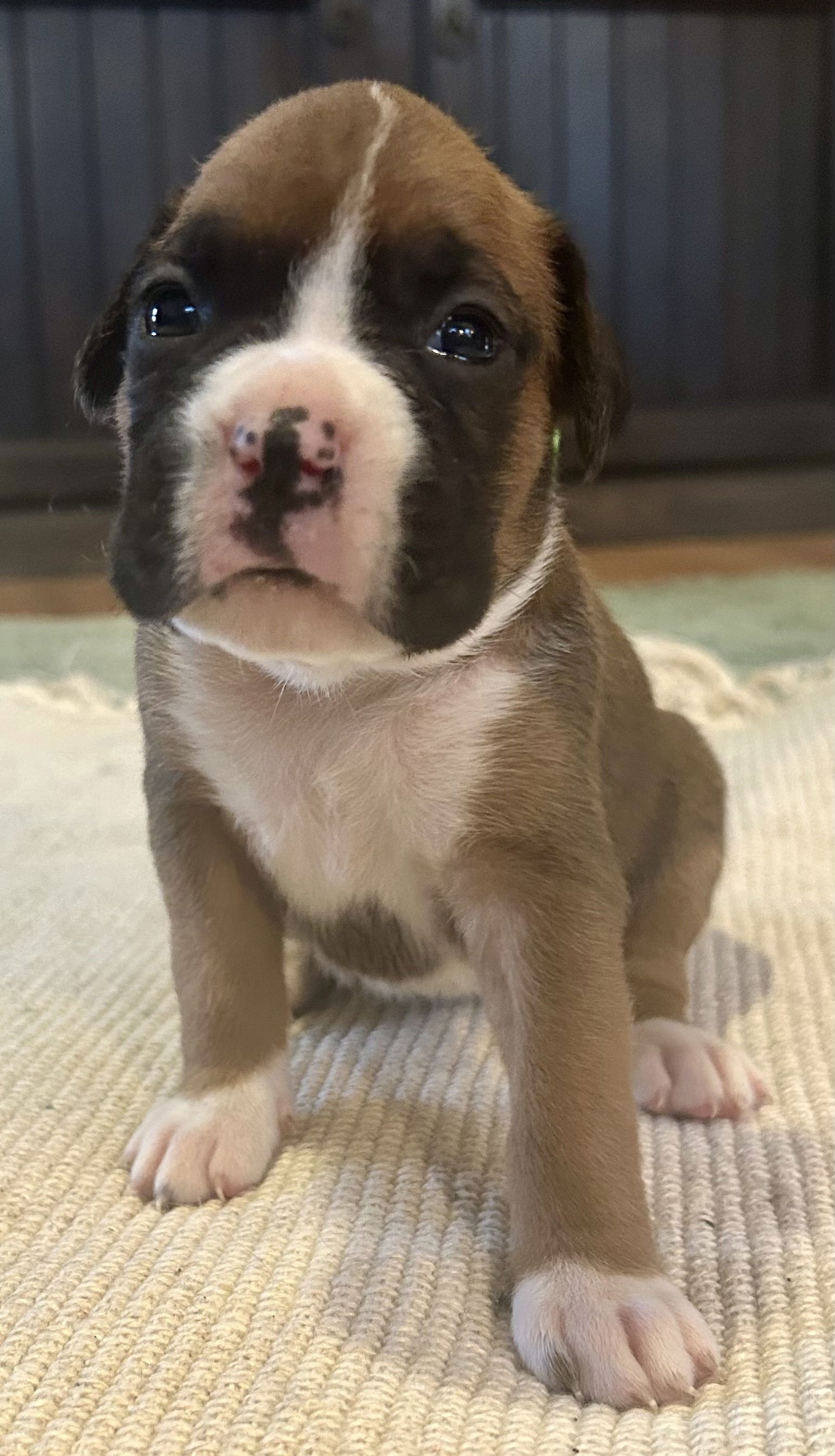 Now living in Bendigo, Victoria!