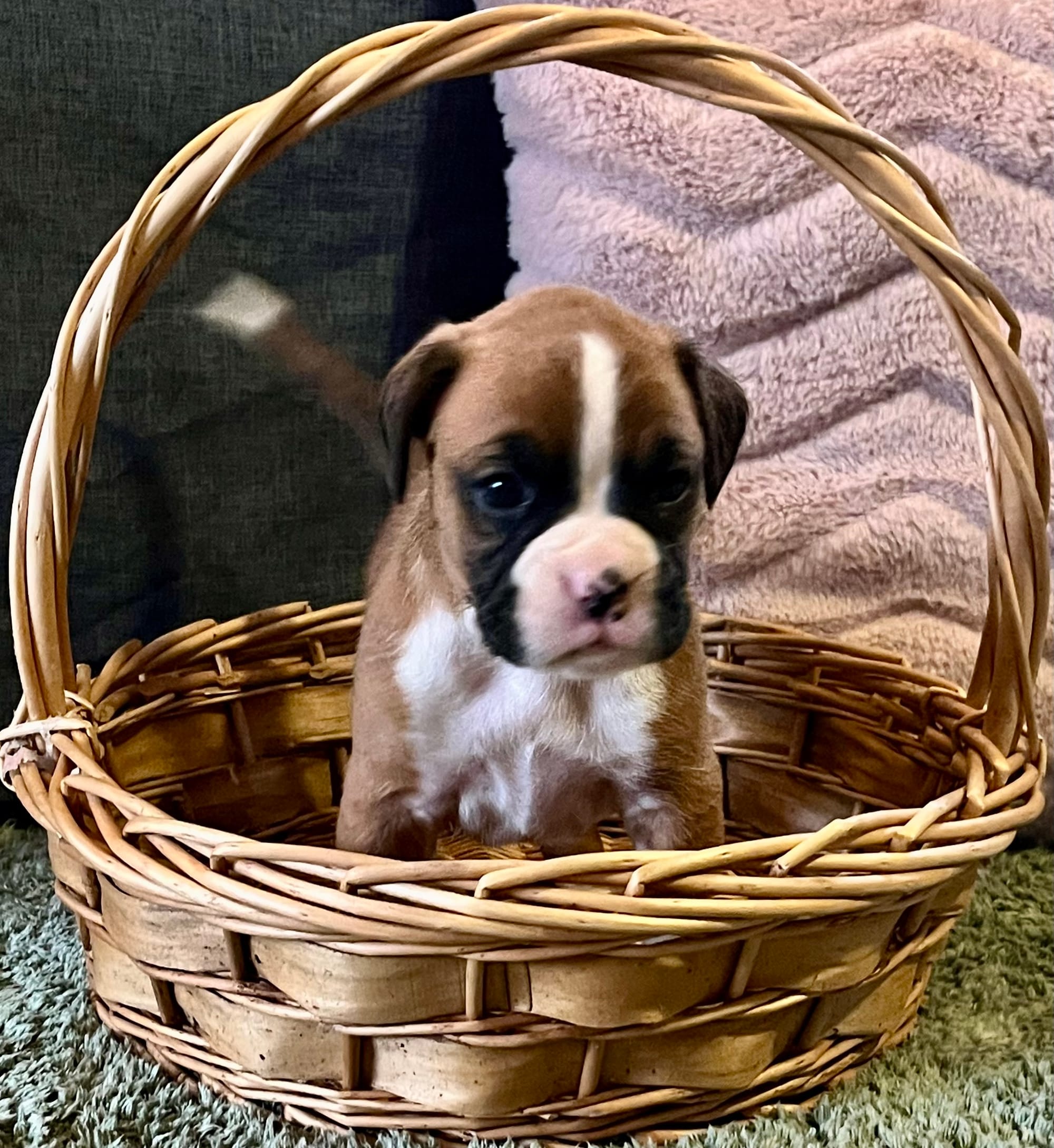 Now living in Melbourne, Victoria!