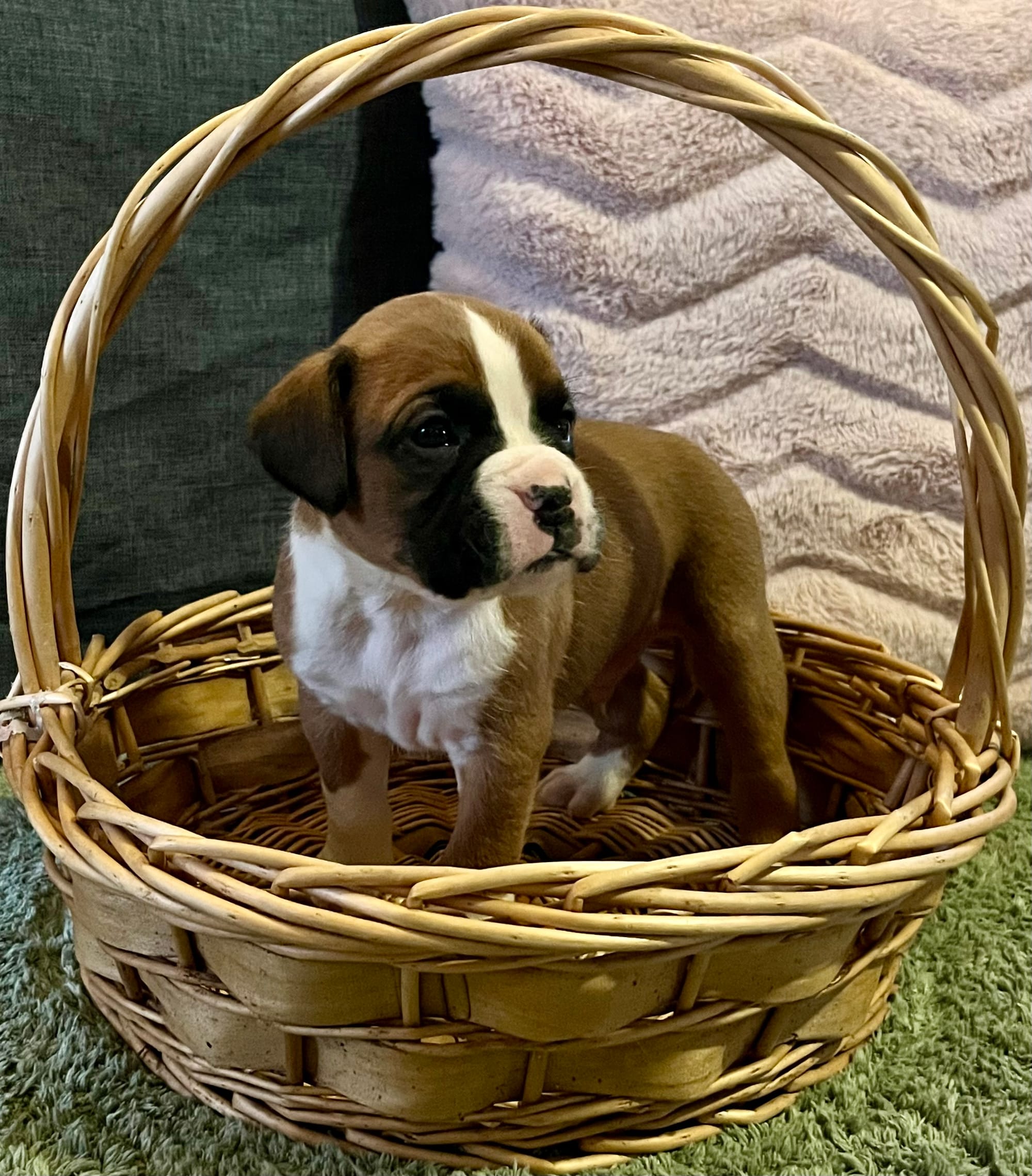 Now living in Mildura, Victoria!