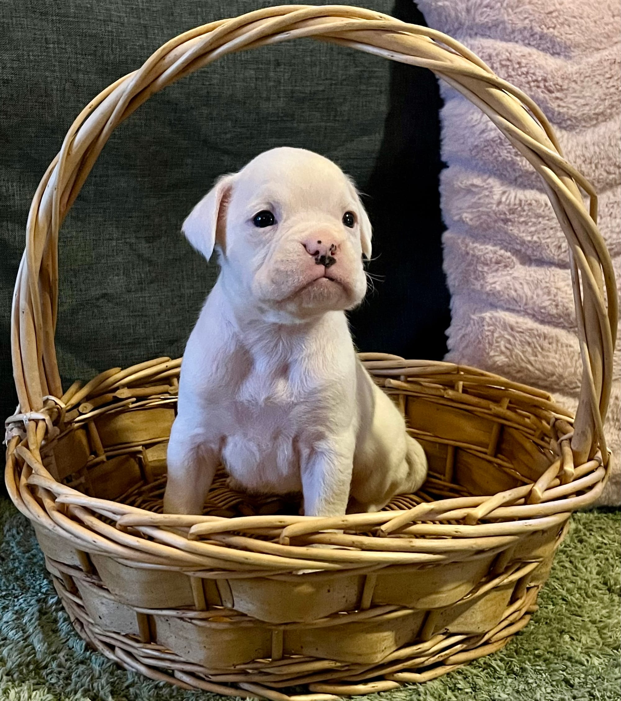 Now living in Melbourne, Victoria!