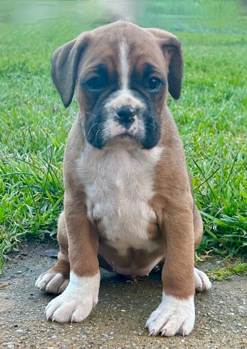 Now living in Melbourne, Victoria!