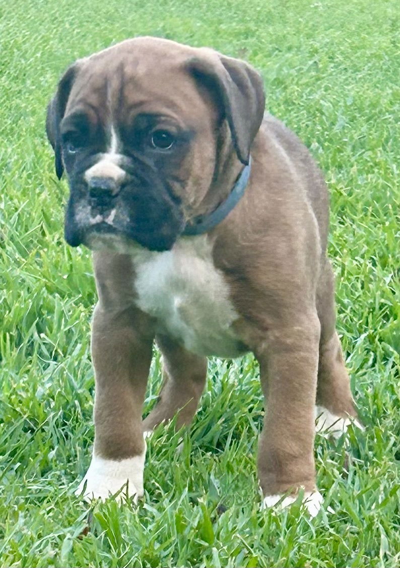 Now living in Bendigo, Victoria!