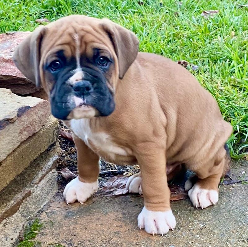 Now living in Melbourne, Victoria!