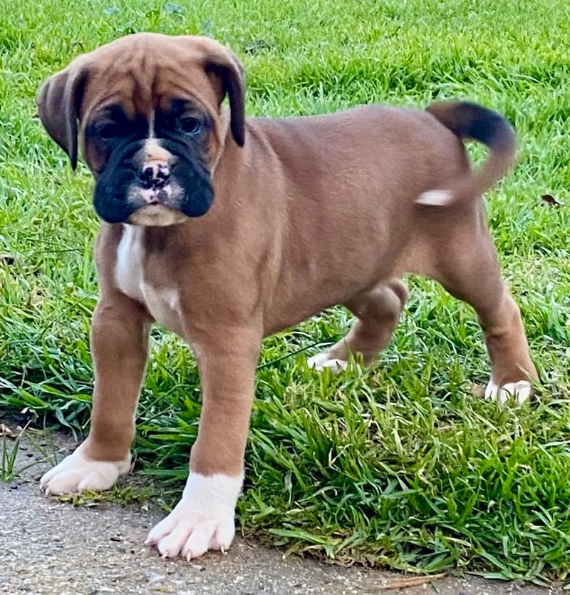 Now living in Melbourne, Victoria!