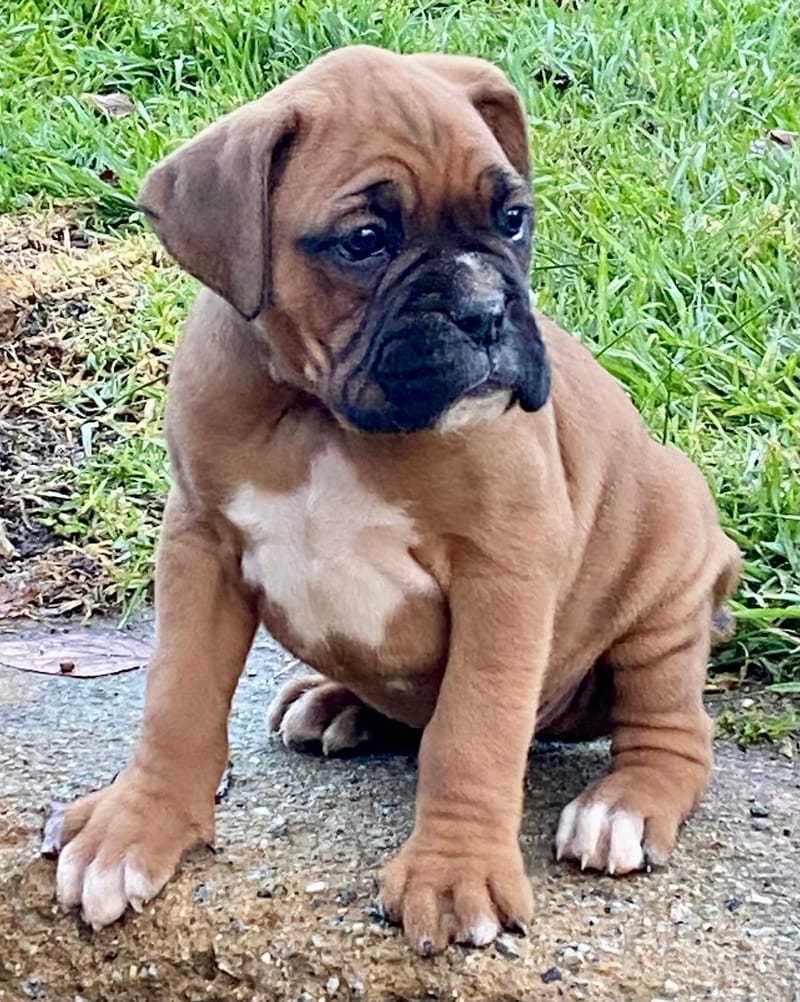 Now living in Bendigo, Victoria!