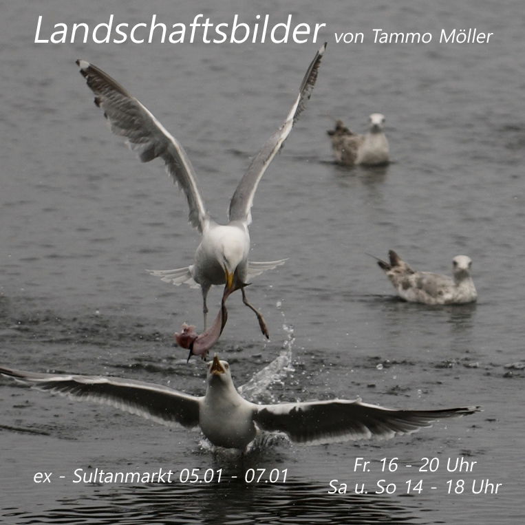 Landschaftsbilder von Tammo Möller 07.-10.01.