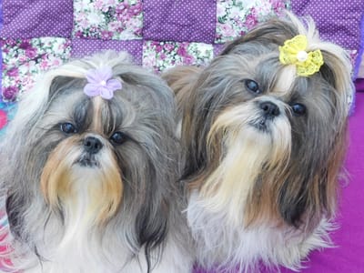 Datenschutzhinweise image